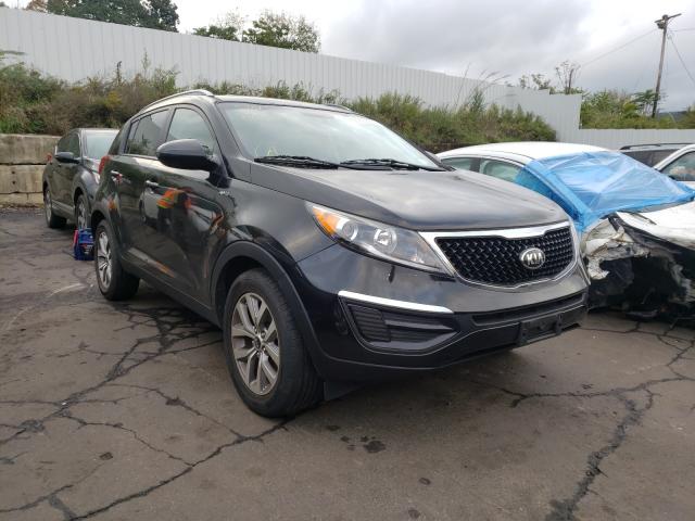 KIA NULL 2016 kndpbcac1g7851518