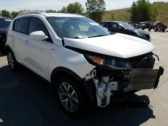 KIA SPORTAGE L 2016 kndpbcac2g7856548