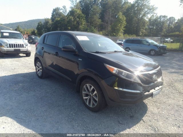 KIA SPORTAGE 2015 kndpbcac3f7685162