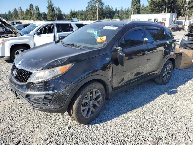 KIA SPORTAGE 2016 kndpbcac3g7812333