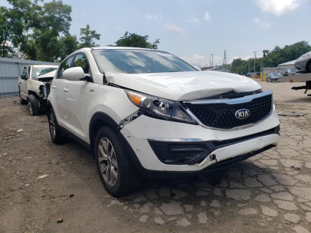 KIA SPORTAGE L 2016 kndpbcac3g7855165