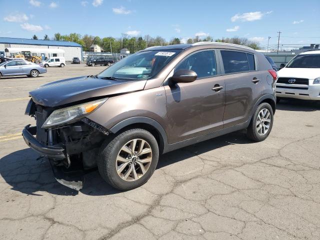 KIA SPORTAGE 2014 kndpbcac4e7642318