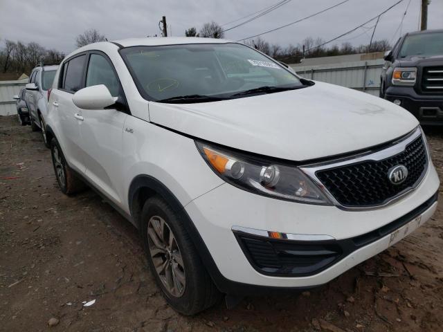 KIA SPORTAGE 2014 kndpbcac4e7645669