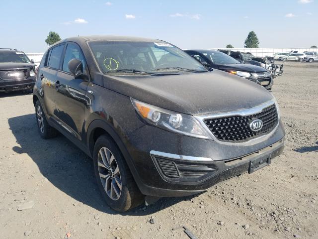 KIA SPORTAGE L 2014 kndpbcac5e7632266