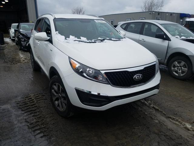 KIA SPORTAGE L 2014 kndpbcac6e7645897