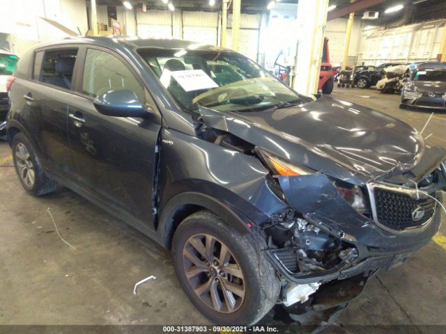 KIA SPORTAGE 2016 kndpbcac6g7826100