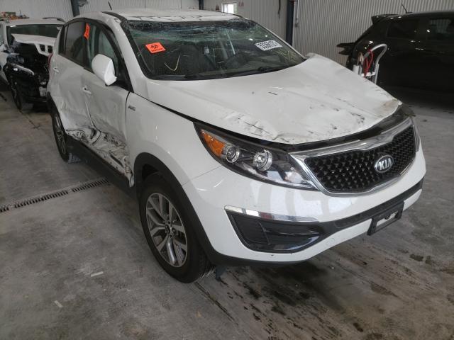 KIA SPORTAGE L 2016 kndpbcac6g7868704