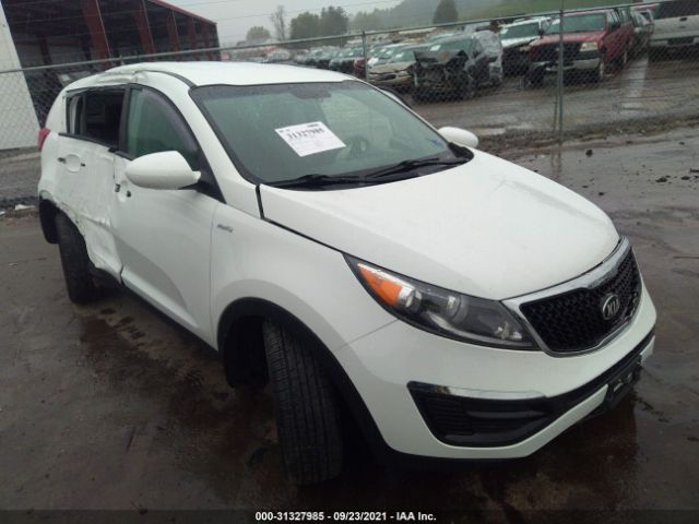 KIA SPORTAGE 2016 kndpbcac7g7859820