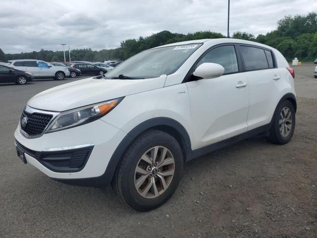 KIA SPORTAGE 2014 kndpbcac8e7559622