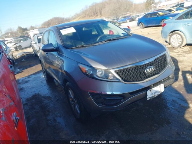 KIA SPORTAGE 2015 kndpbcac8f7748353