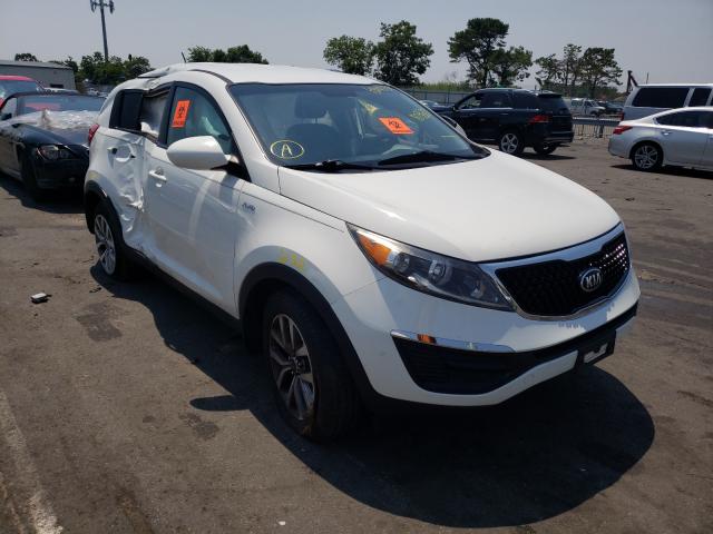 KIA SPORTAGE L 2016 kndpbcac8g7803627