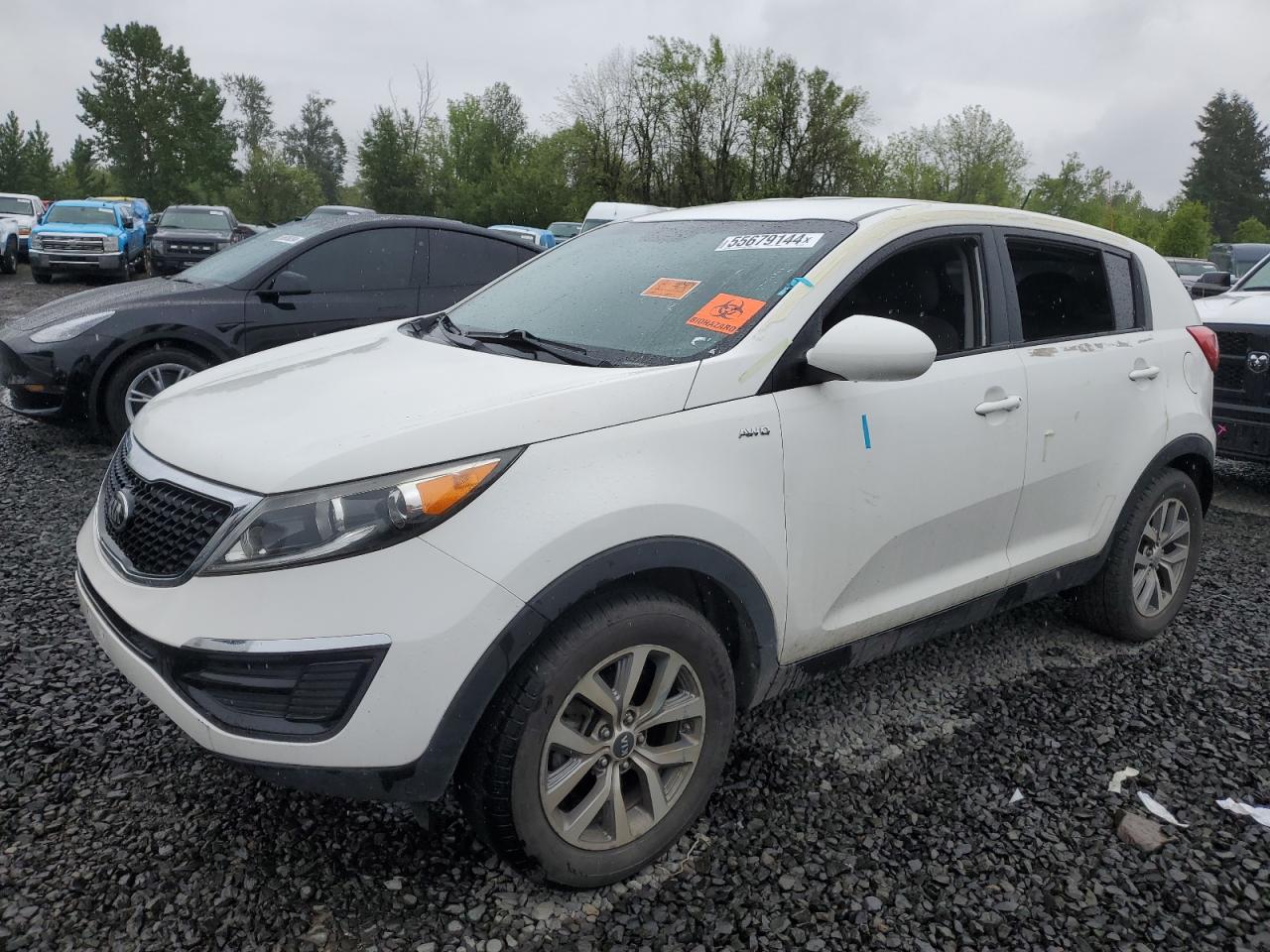 KIA SPORTAGE 2016 kndpbcac8g7819200