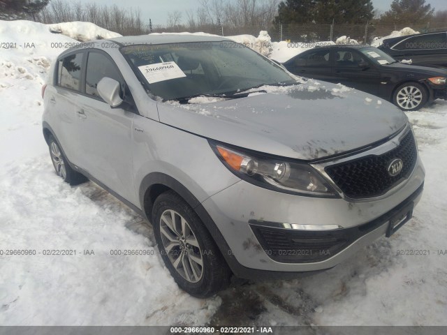 KIA SPORTAGE 2016 kndpbcac8g7824669