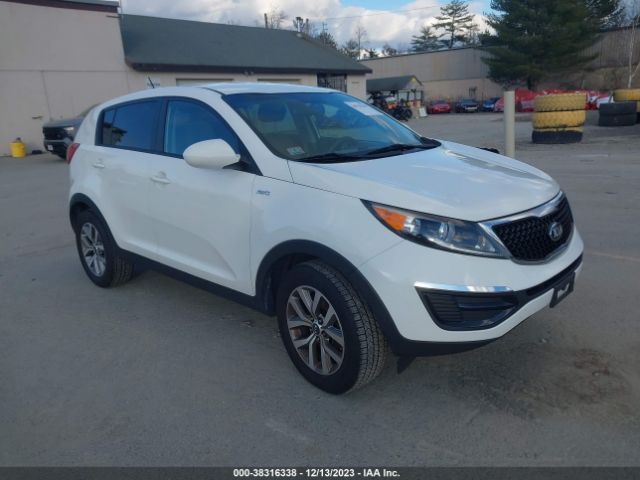 KIA SPORTAGE 2016 kndpbcac8g7864931