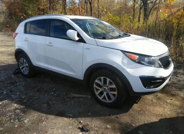 KIA SPORTAGE 2016 kndpbcac8g7873662