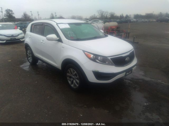 KIA SPORTAGE 2015 kndpbcac9f7718259