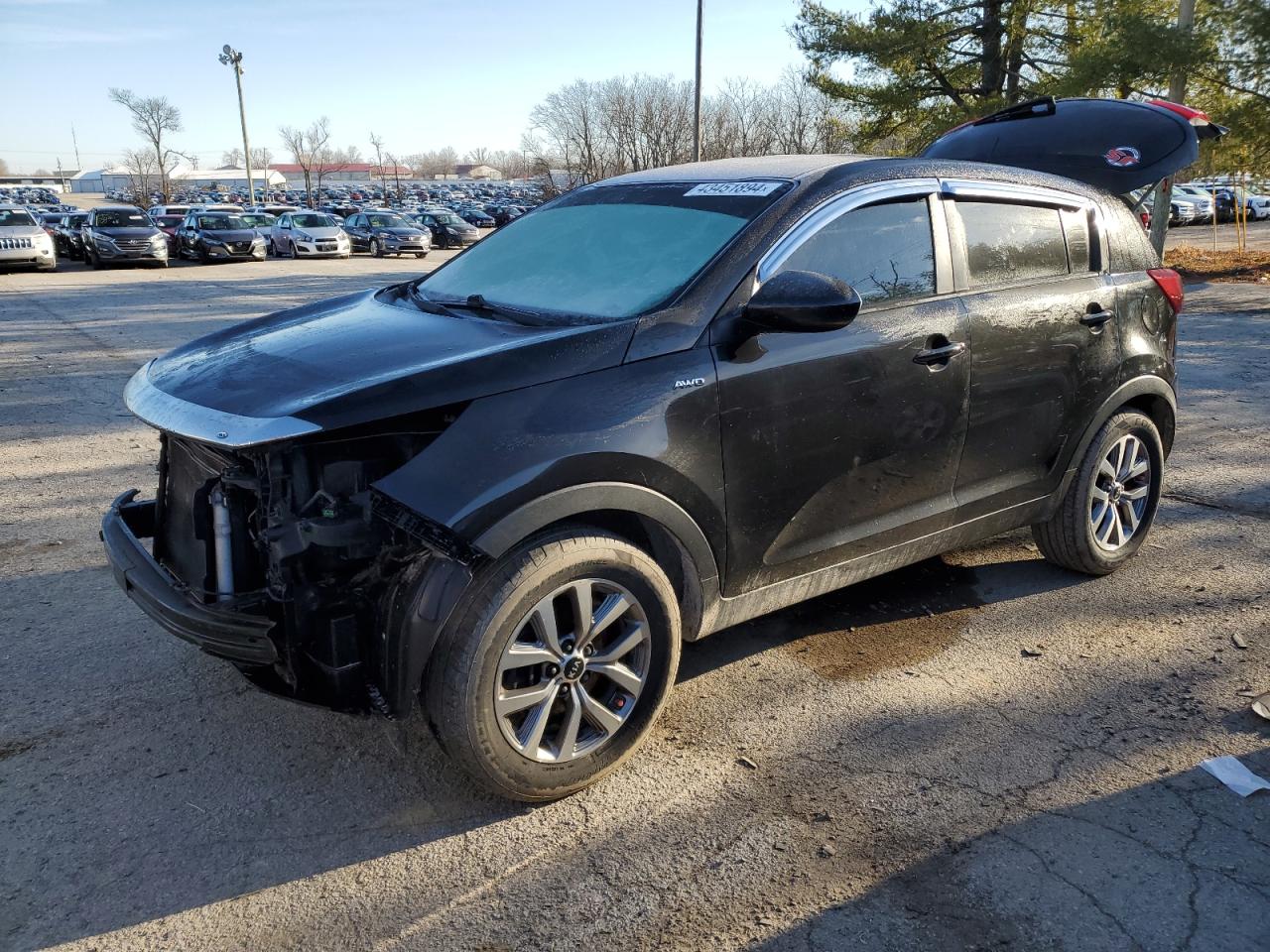 KIA SPORTAGE 2016 kndpbcac9g7822106