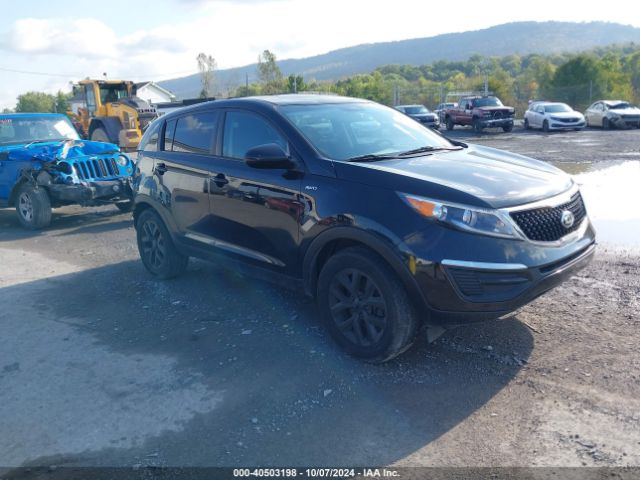 KIA SPORTAGE 2016 kndpbcac9g7872598