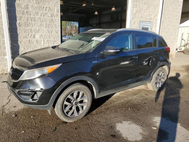 KIA SPORTAGE 2014 kndpbcacxe7547648