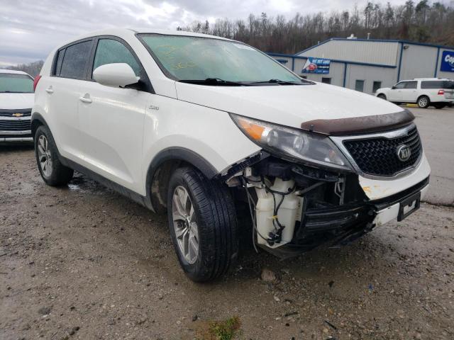 KIA SPORTAGE L 2016 kndpbcacxg7814502