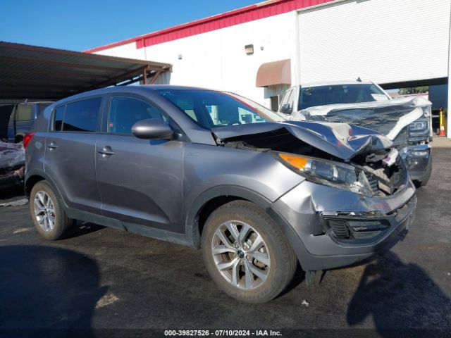 KIA SPORTAGE 2016 kndpbcacxg7828206