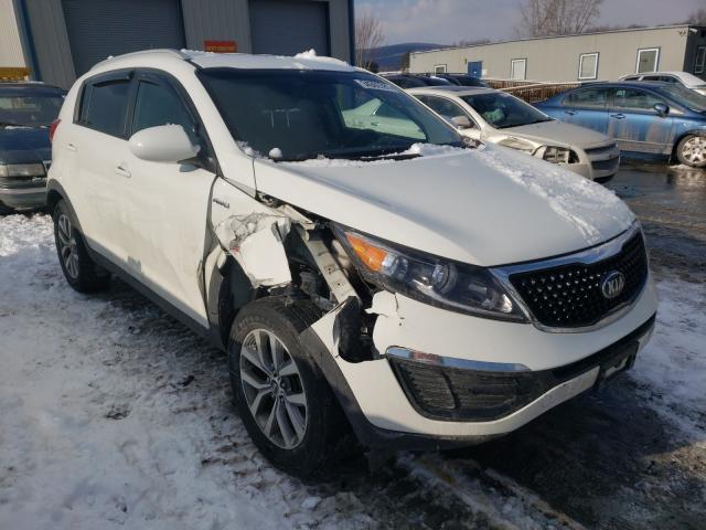 KIA SPORTAGE L 2016 kndpbcacxg7850576