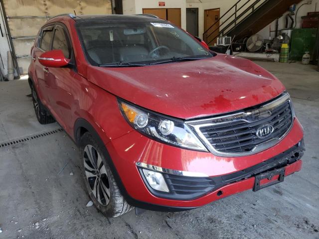 KIA SPORTAGE E 2011 kndpc3a23b7033981