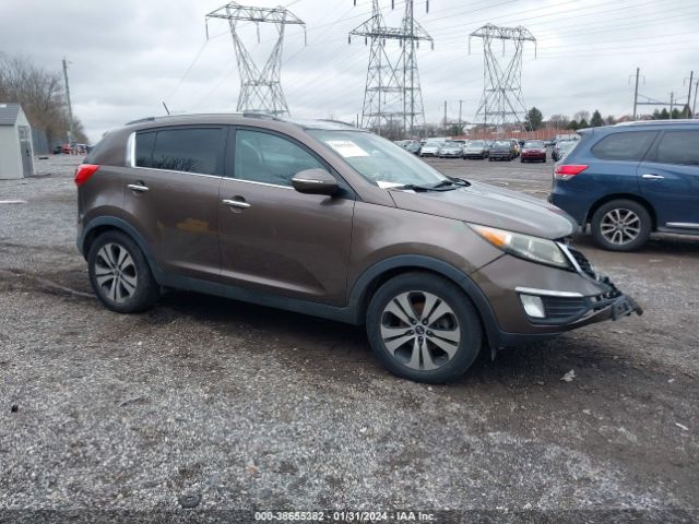 KIA SPORTAGE 2012 kndpc3a23c7186183