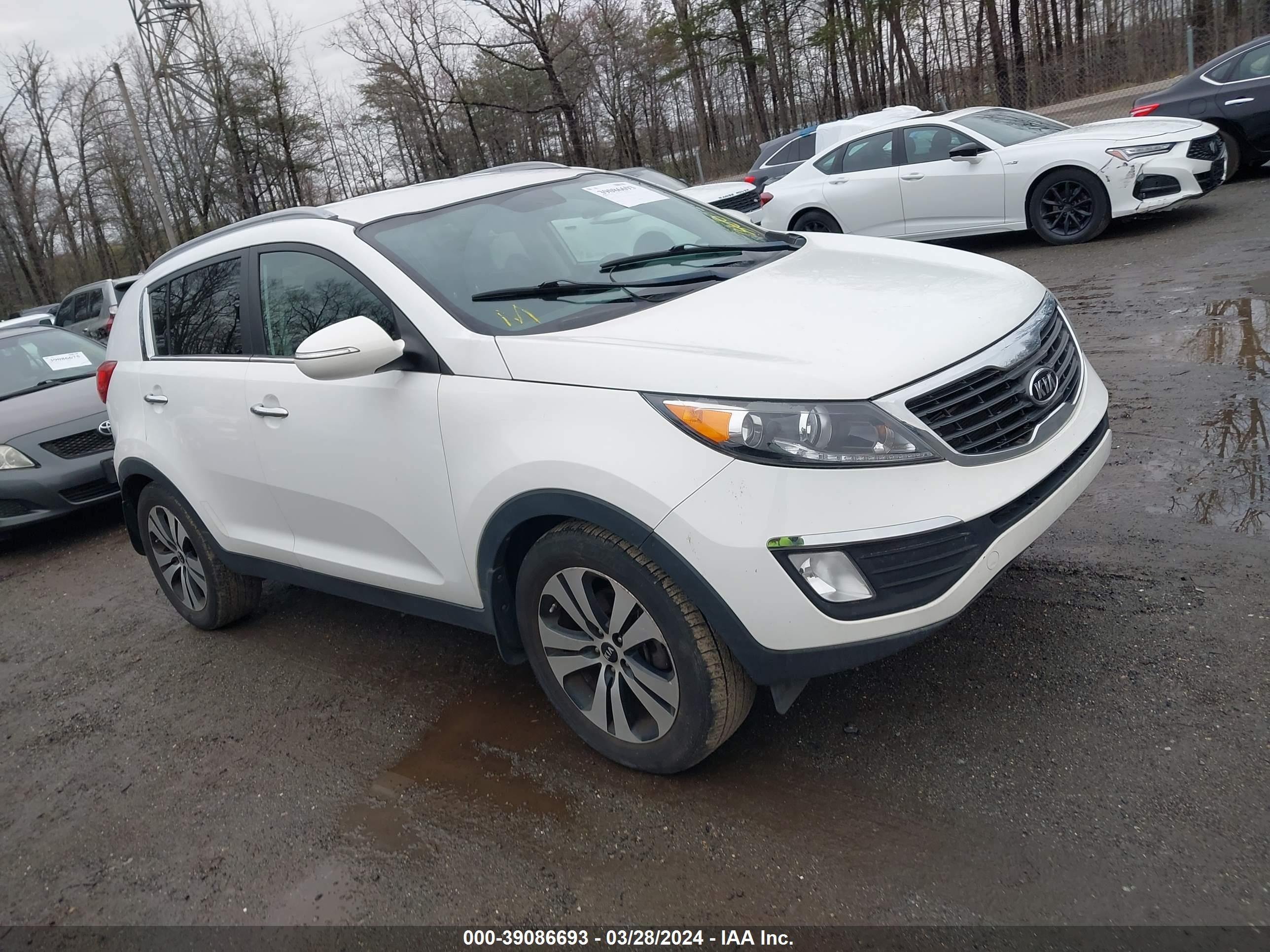 KIA SPORTAGE 2012 kndpc3a23c7195501