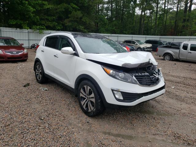 KIA SPORTAGE E 2013 kndpc3a23d7502635