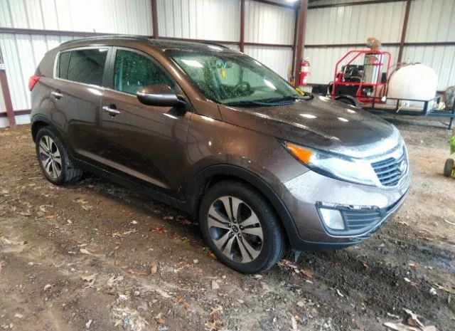 KIA SPORTAGE 2011 kndpc3a24b7035979