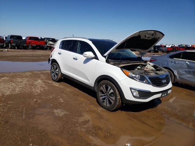 KIA SPORTAGE 2013 kndpc3a27d7504646