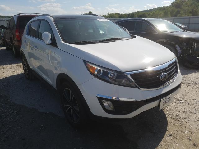 KIA SPORTAGE E 2016 kndpc3a6xg7803491