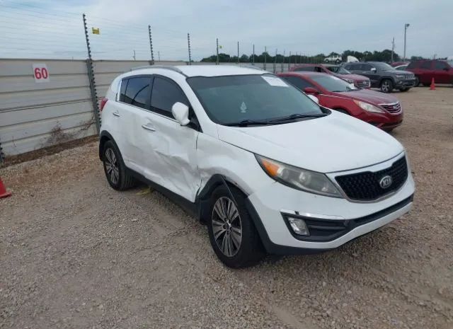 KIA SPORTAGE 2014 kndpc3ac0e7554590