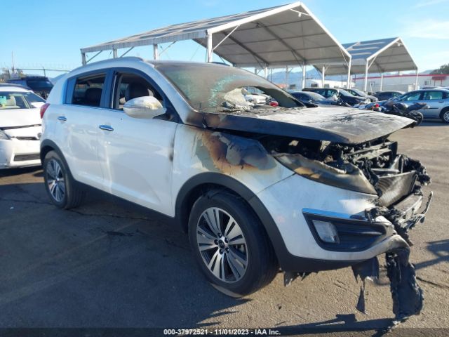 KIA SPORTAGE 2014 kndpc3ac0e7576444