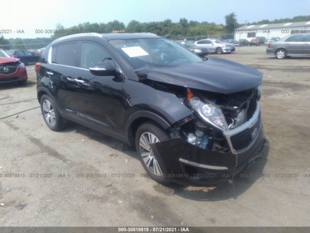 KIA SPORTAGE 2014 kndpc3ac0e7642720