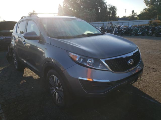 KIA SPORTAGE E 2016 kndpc3ac0g7870011