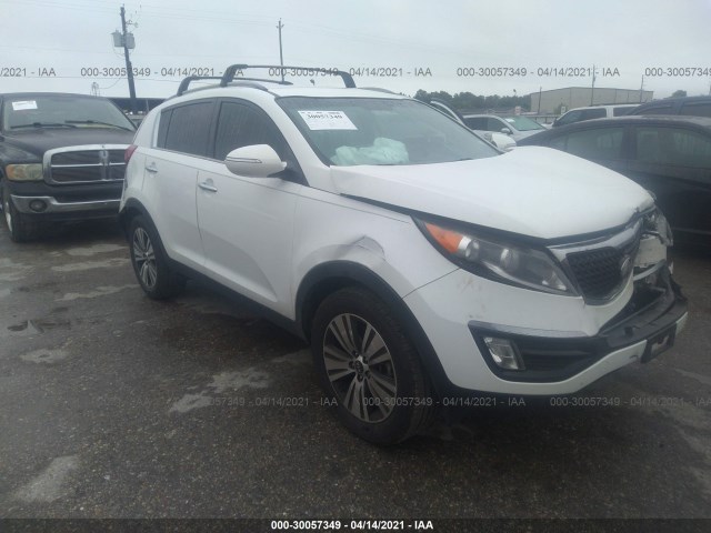 KIA SPORTAGE 2014 kndpc3ac1e7560446