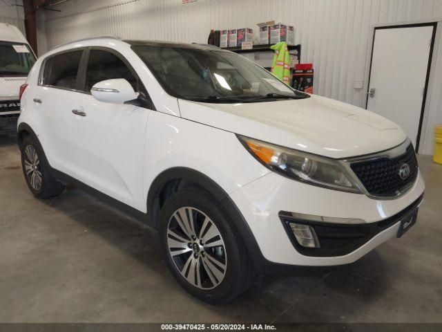 KIA SPORTAGE 2014 kndpc3ac1e7644220