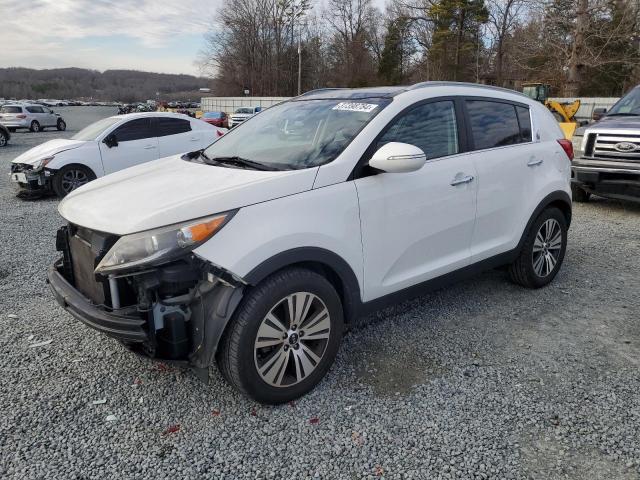 KIA SPORTAGE 2016 kndpc3ac2g7826107