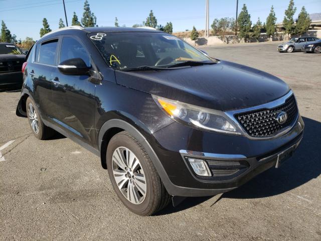 KIA SPORTAGE E 2014 kndpc3ac3e7594646