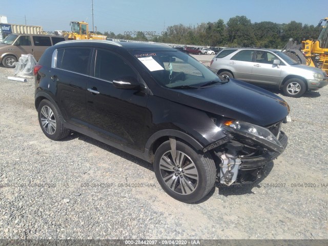 KIA SPORTAGE 2014 kndpc3ac3e7613874