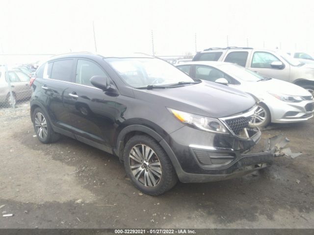 KIA SPORTAGE 2016 kndpc3ac3g7875171