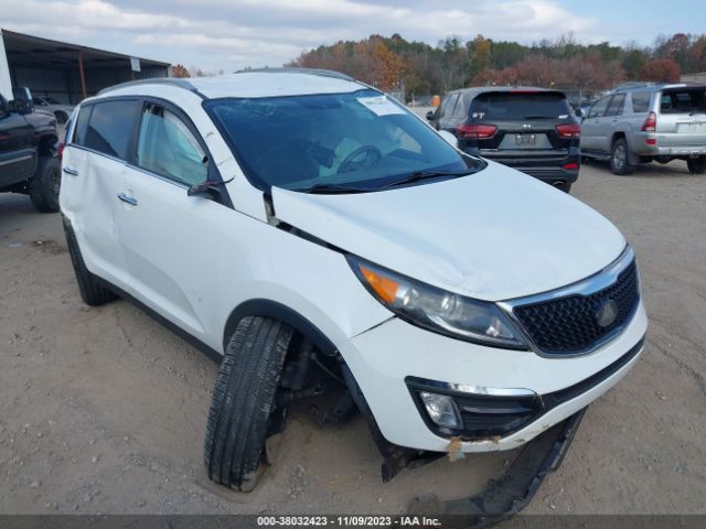 KIA SPORTAGE 2014 kndpc3ac4e7618680