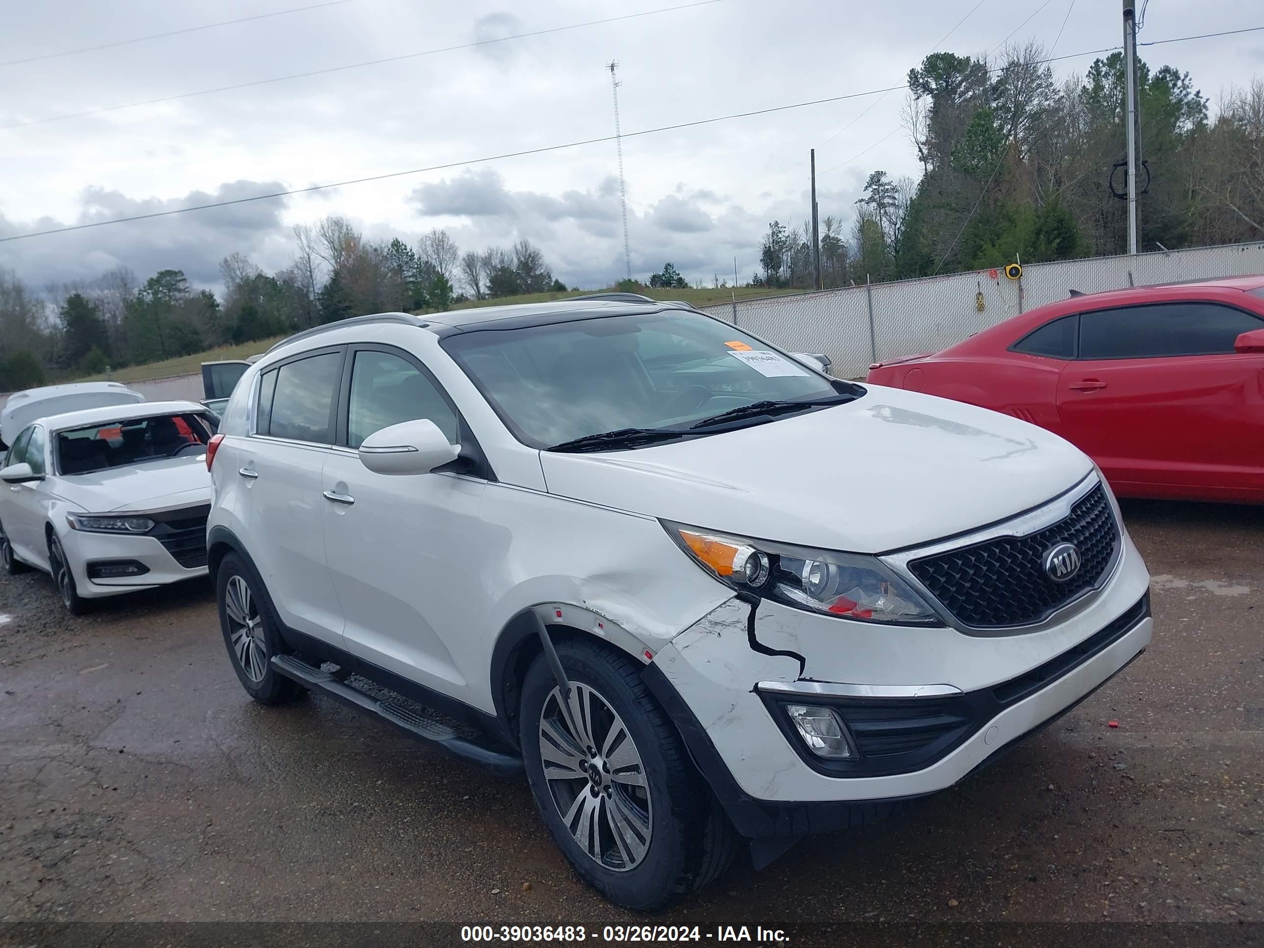 KIA SPORTAGE 2015 kndpc3ac4f7781220