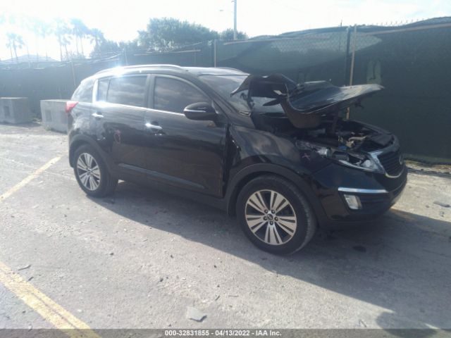 KIA SPORTAGE 2015 kndpc3ac4f7792623