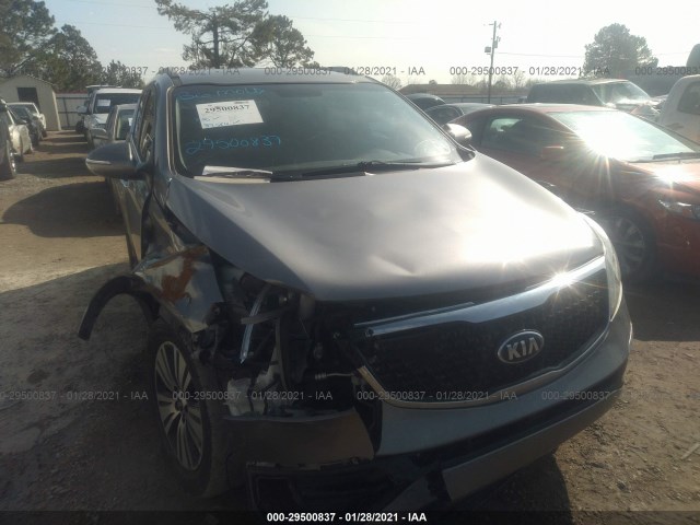 KIA SPORTAGE 2014 kndpc3ac5e7554827