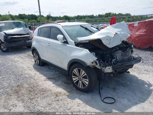 KIA SPORTAGE 2014 kndpc3ac5e7560286