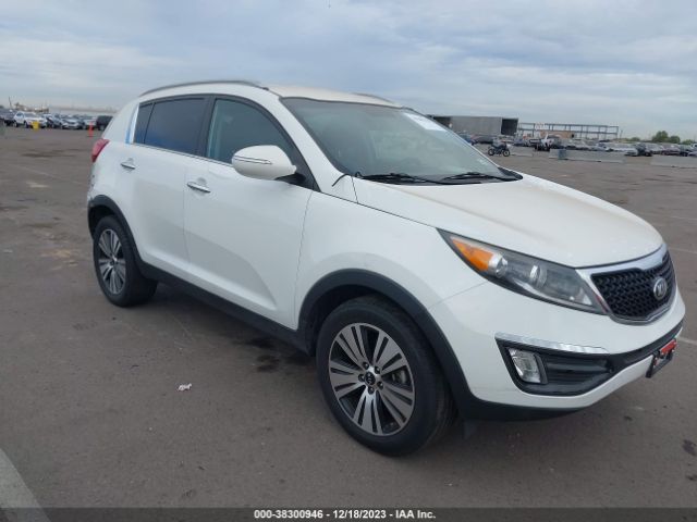 KIA SPORTAGE 2014 kndpc3ac5e7578559