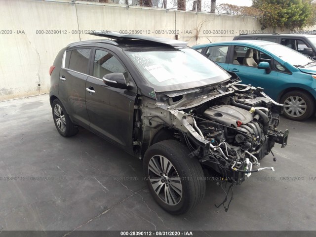 KIA SPORTAGE 2014 kndpc3ac5e7630269